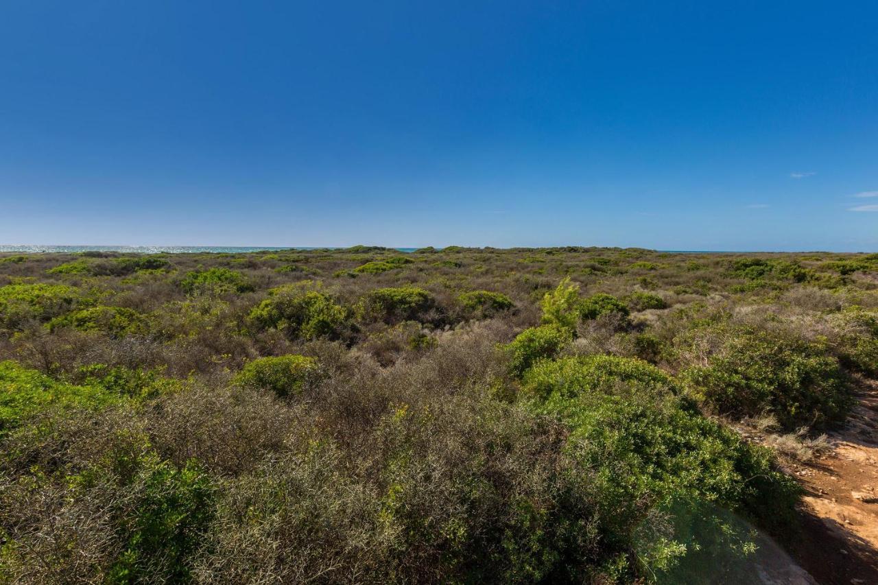 Villetta Sofia Porto Cesareo Kültér fotó